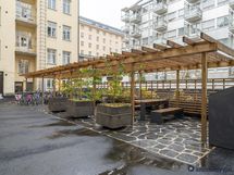 Sisäpiha