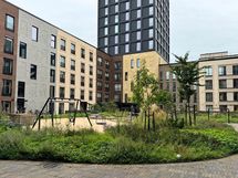 hyvinhoidettu sisäpiha