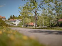 Sundetin puistotien vehreyttä jokusen vuoden takaa