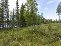 Rovaniemi-Karjalanjärvi