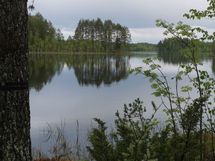 Savijärvi