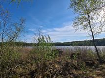 Yleiskuvaa alueesta