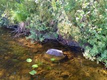Kuhmo, Iso-Rommakkojärvi-Ontojärvi, Hyrynsalmentie