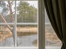 Jokimaisema
