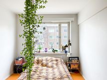 Ikkunat koilliseen kadun rauhallisen puoleen.