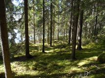 Ylöjärvi, Kuru, Heinuu ja Poikelisjärvi