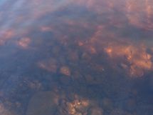 Lammen vesi ja pohja