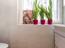 WC:n ikkuna sisäpihalle