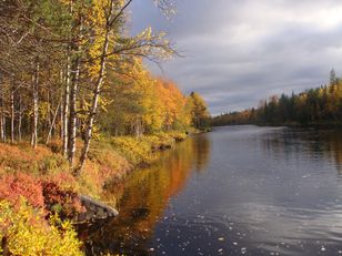 Kohdekuva