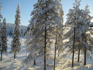 Kohdekuva