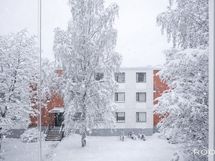 Kuva on digitaalisesti käsitelty.