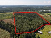 Metsäpalsta Käkikumpu II