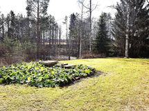 Päärakennuksen pihaa