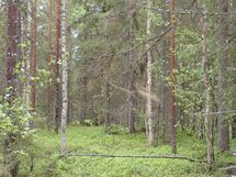 Pello, Miekojärvi, Karhumaan ranta-asemakaava