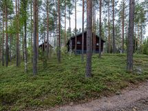 Pihapiirissä metsämaata