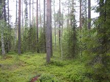 Pello, Miekojärvi, Karhumaan ranta-asemakaava