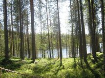 Suomussalmi, Kaunisniemi-Merkkivirta