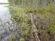 Rovaniemi-Venejärvi