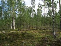 Sonkajärvi, Raudanvesi