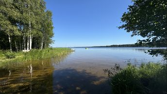 Kohdekuva