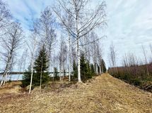 Tiepohja perille. 