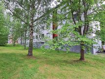 Takapiha on puistomainen.