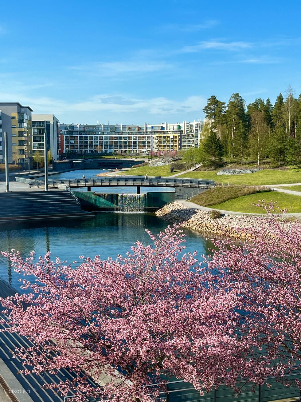 Yksi kuva kertoo enemmän kuin tuhat sanaa: kuva viime keväältä asunnon ikkunasta.