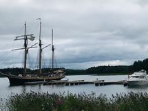 Läheltä löytyy myös marina, josta voi vuokrata venepaikan.