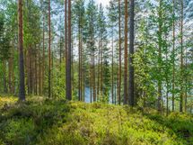 Savonlinna, Kiviapaja, Siikavesi