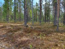Sodankylä Kakslauttanen