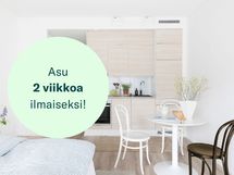 Kamppiskuva Edison 2vko uusi.jpg