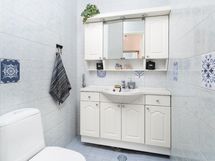Erillinen wc