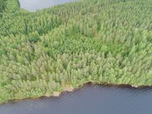 Puumala, Saimaa, Laakko