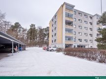 pihalta