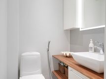 Alakerran erillinen wc