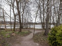 Yhtiöllä pihasauna, josta pääsee suoraan mereen uimaan.