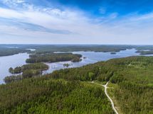 Heinävesi Pilppa Karjalansaari 