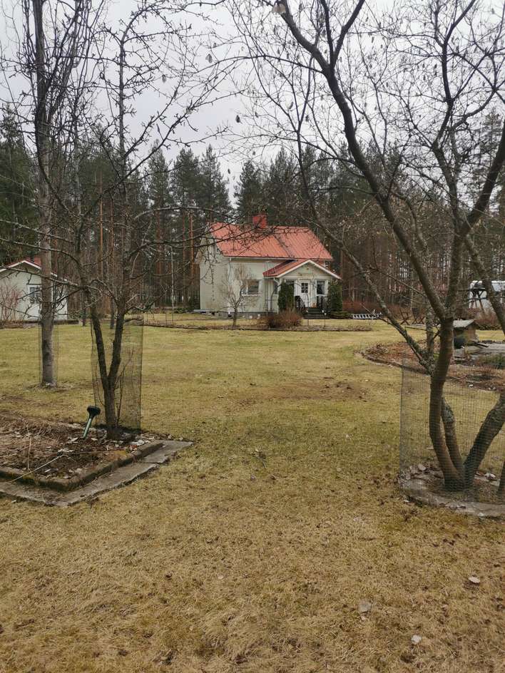 Kohdekuva