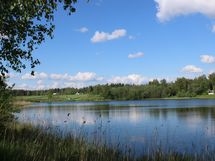 kesäinen näkymä järvelle