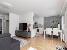 Olohuone, josta pääsy terassille