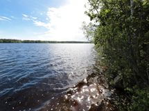 Parkano, Liesijärvi
