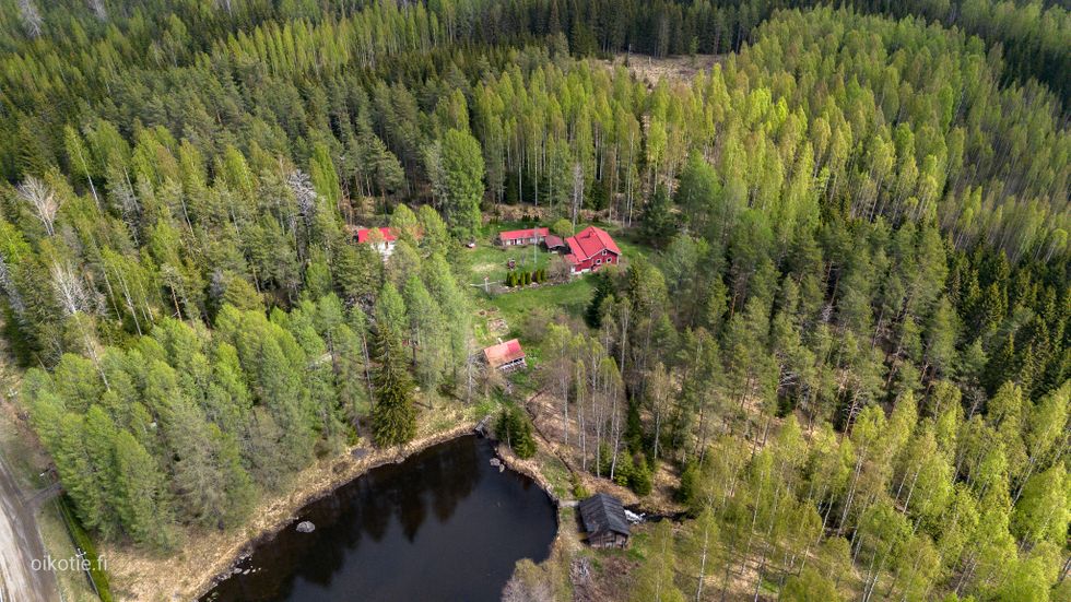 Kohdekuva