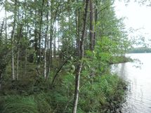 Tila Vehkaniemi RN:o 2:104