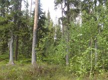Pello, Miekojärvi, Karhumaan ranta-asemakaava