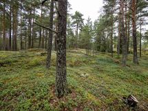 Salo, Särkisalo, Karhumäki