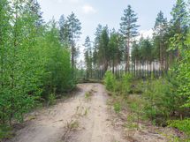 Savonlinna, Kiviapaja, Suuri Siikajärvi