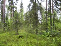 Pello, Miekojärvi, Karhumaan ranta-asemakaava