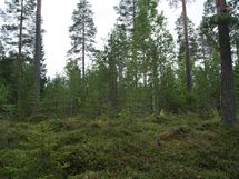 Sonkajärvi, Raudanvesi