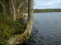 Syksyn maisemaa tontilla