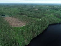 Jämsä, Iso-Liesi, Kuorevesi